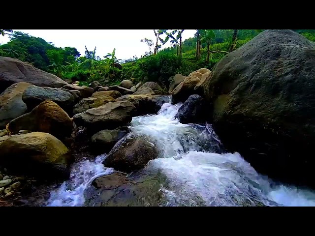 Beautifull Forest River Relaxing water sound, waterfall sounds white noise, river sound for sleeping