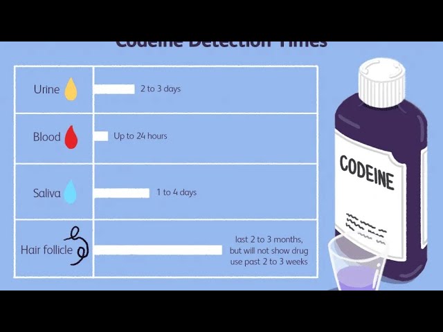 Pharmacology of Codeine ; Mechanism of action, Pharmacokinetics, Uses, Effects