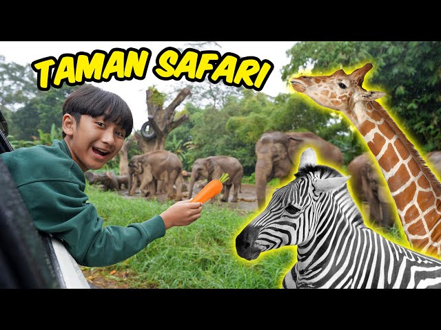 Ziyan Liburan Ke Taman Safari Bogor (Part 1) - Safari Journey