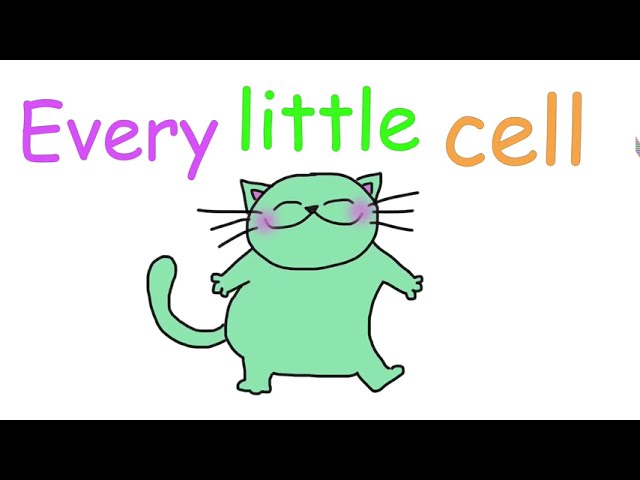 Every little cell