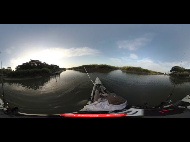 25" Redfish