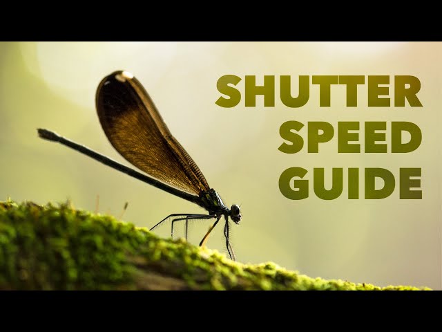 What Is Shutter Speed? - Beginner Friendly Tutorial