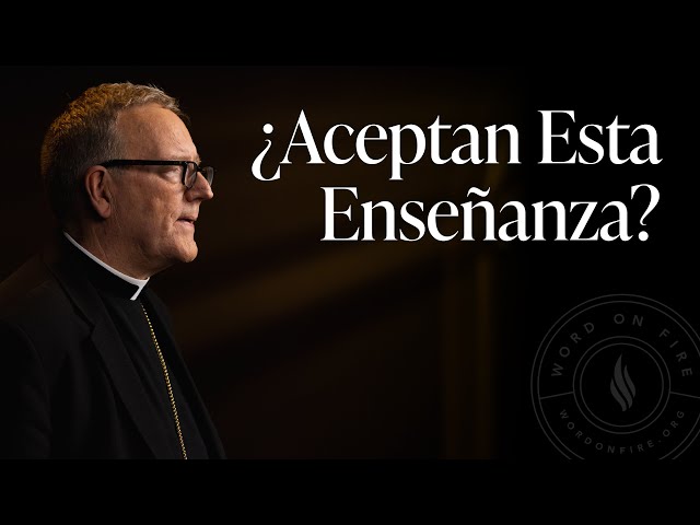 ¿Aceptan Esta Enseñanza? - Sermón del Domingo del obispo Robert Barron