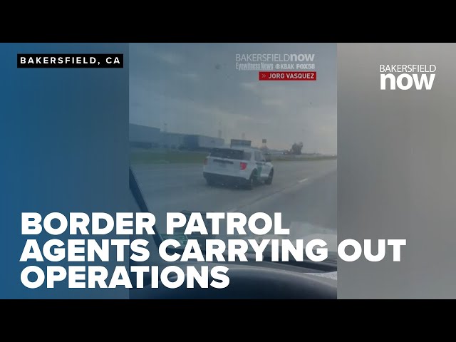 Border Patrol agents carrying out operation in Kern County