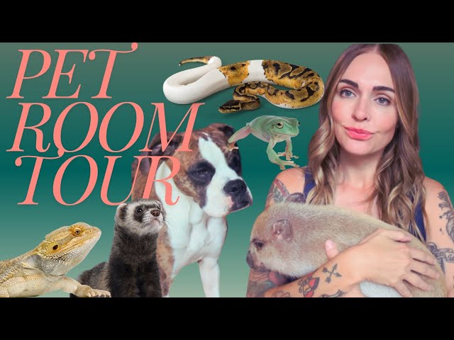 Ultimate Pet Room & Reptile Tour!