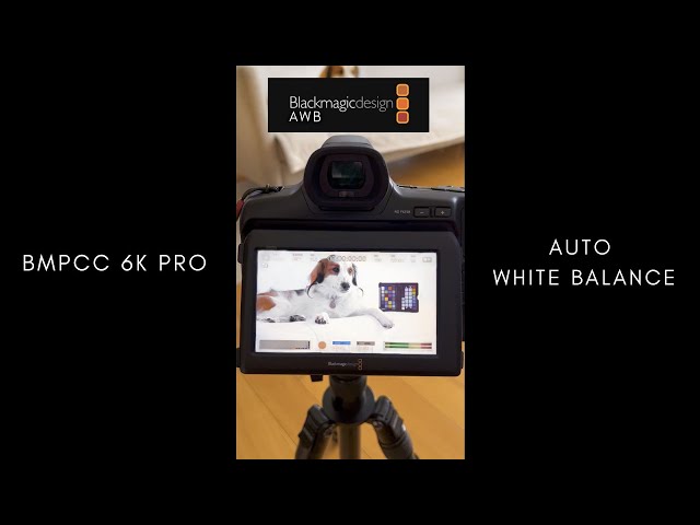 Auto White Balance on BMPCC 6K Pro. Quick set up.