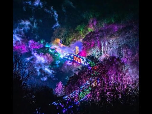 Dartmouth Steam Railway Christmas Train of Lights 360 - Nov/Dec 2023