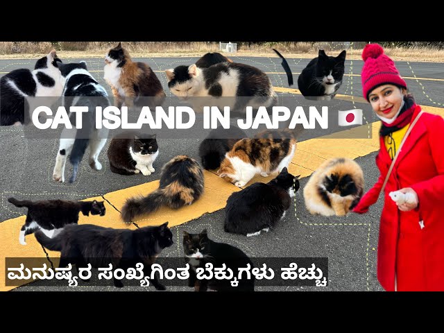 Visiting Japan’s Cat Island 🐈 🐈‍⬛ |Miyagi Tashirojima Island|ಜಪಾನ್ನಲ್ಲಿ ಬೆಕ್ಕುಗಳ ದ್ವೀಪ #cat