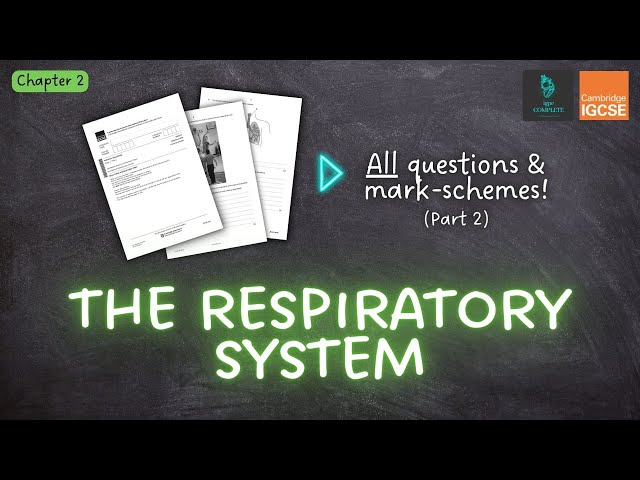 QUESTIONS, A* ANSWERS & MARK SCHEMES - Respiratory System (Ch 2) - IGCSE PE exam revision