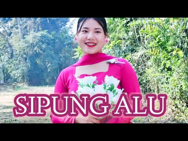 SIPUNG ALU || Rongmei Latest Love song Lyrics Video || Bonyface Kamei