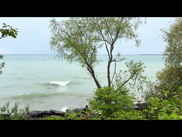 Nature Break B-Roll Video By Nevan. Waves On The Water