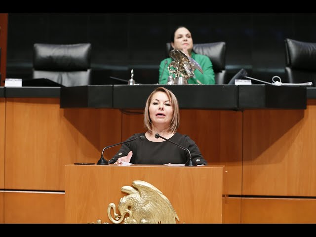 Senadora Minerva Hernández, posicionamiento GPPAN sobre la Ley Federal de Austeridad Republicana