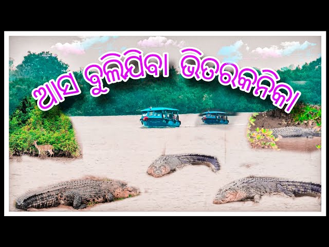 ଭିତରକନିକା ଅଭୟାରଣ୍ୟ || #bhitarkanika ||#trending #vlog #crocodile #deer #forest #viralvideo #snake