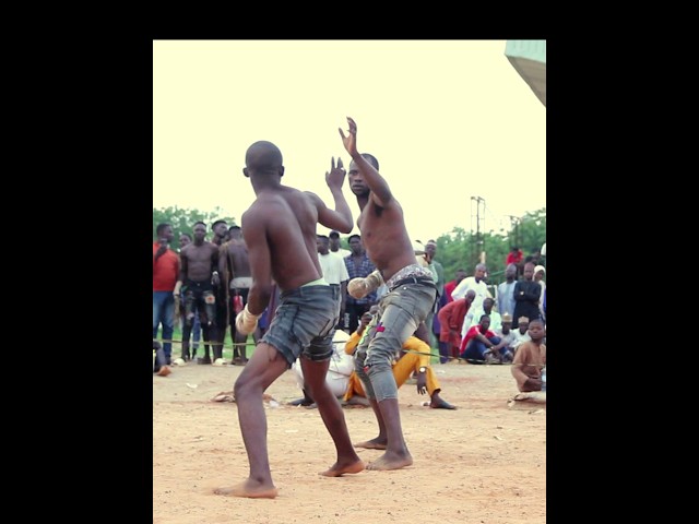 Dambe knockout session 5229 #sports #boxingknockout #dambe #africa