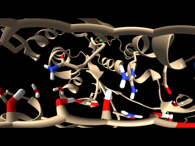 Glucose binding protein