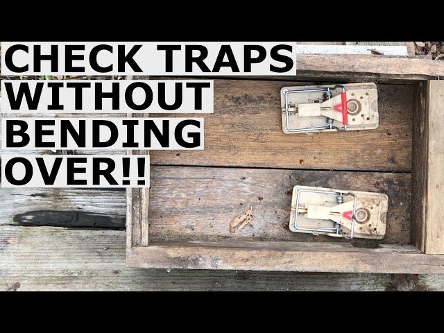 Eliot Coleman Mouse Trap Box Improvements and Modifications to Eliminate Bending Down!