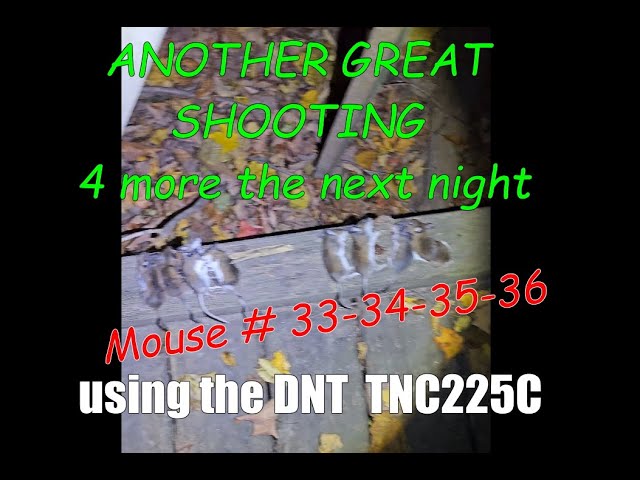 MICE 33 - 36    Another 4 In A Row with TNC225R #ratting #hunting #airgun #thermal #nightvision #dnt