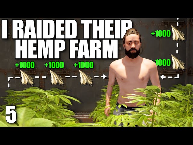 I ONLINE RAIDED THIS CLAN AND THEIR HEMP FARM | Solo Rust