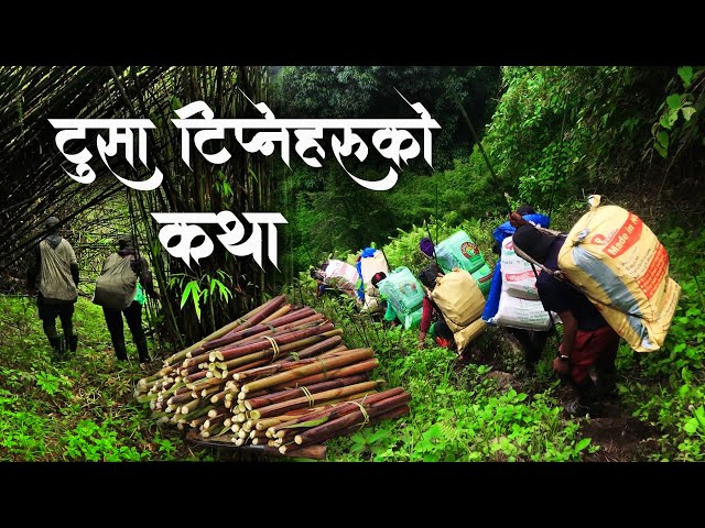 टुसा टिप्नेहरुको कथा - Documentary || A Story of Himalayan Bamboo Shoots