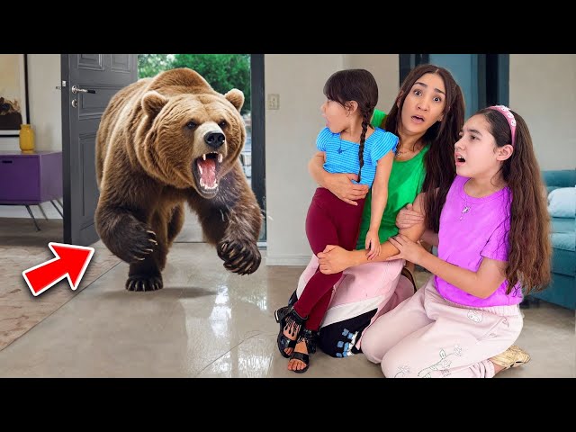 A Huge Grizzly Bear Broke Into Our House...