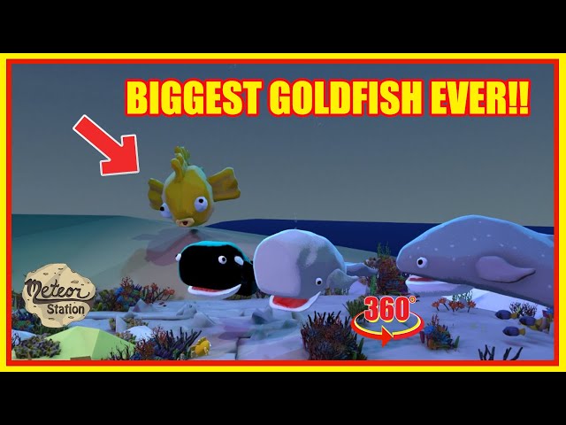 Worlds largest Goldfish | Whale of a Tale VR 360 Cartoon