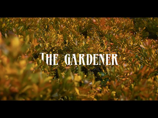 The Gardener (1 Minute Short Film)