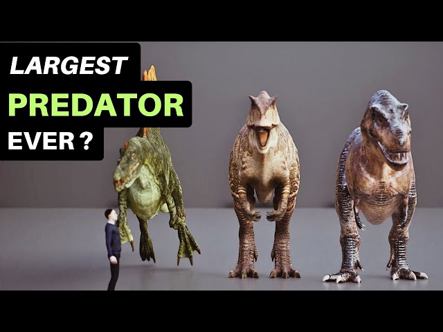 Who Is The Largest Land Predator To Ever Live?