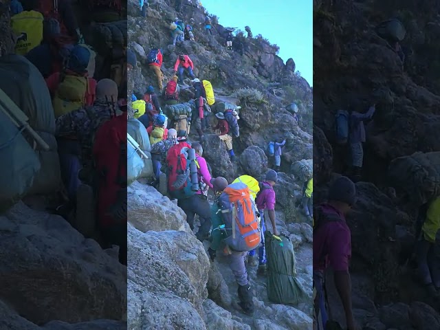 The Crowds on Mount Kilimanjaro Baranco Wall #climbingkilimanjaro #mountains #mountkilimanjaro