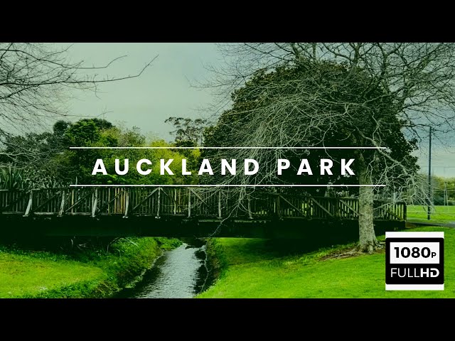 Exploring New Zealand War Memorial Park | A Captivating Vlog Experience