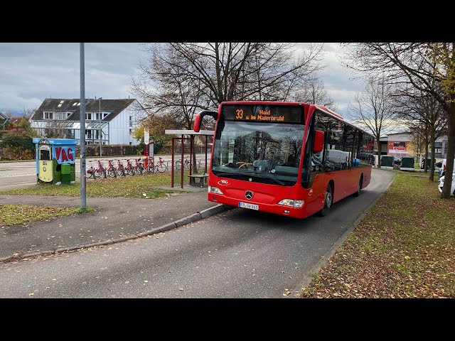 Mit dem Bus 33🚌 über Freiburg❤️Herbst🍁Schwarzwald🌲