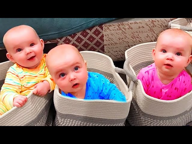 🔴[LIVE] Cutest Viral Triplet, Twin Babies Videos Compilation || Cool Peachy🍑