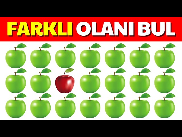 Farklı Olanı Bul!🤔❓️ Sadece Aranızdaki En Dikkatli Kişi Farklı Olanı Bulabilecek!