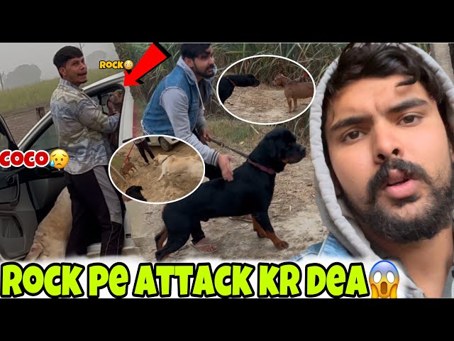 Coco Vs rock😳Coco ne attack kr dea 😱full reaction😡