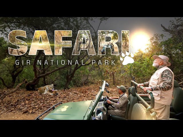 PM Modi goes on Lion Safari at Gir National Park in Gujarat