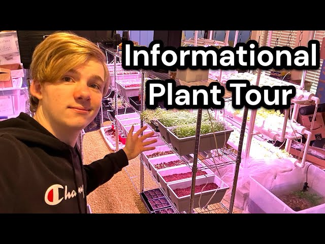 Informational Plant Tour