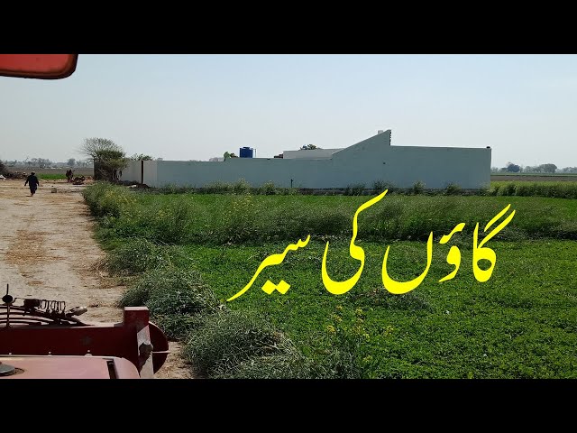 punjab pakistan village tour | village life