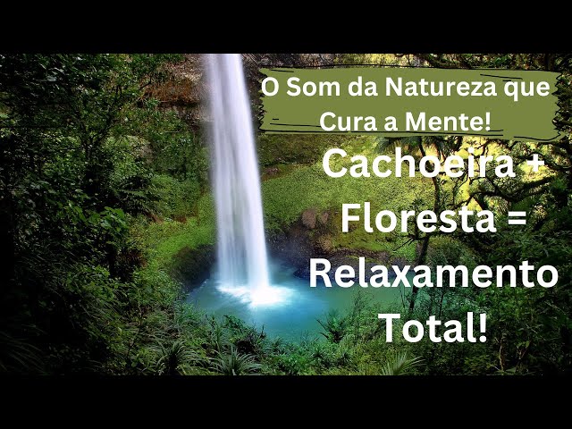 Sons Relaxantes da Natureza para Dormir – Cachoeira e Ambiente da Floresta para Profundo Meditação