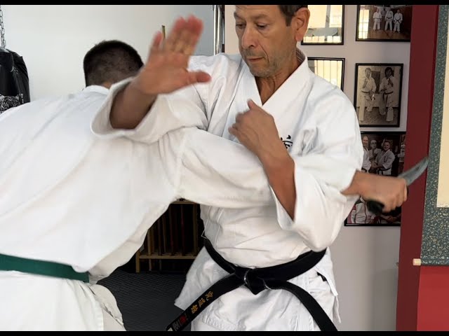 קראטה הגנה עצמית לחימה ביד ריקה - Karate & Practical Close Combat