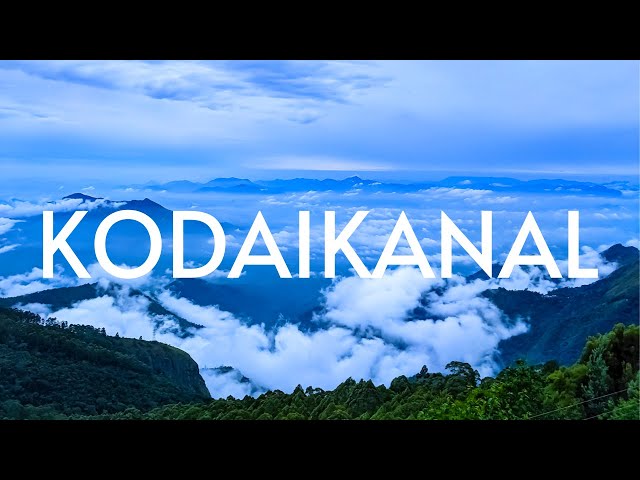 Kodaikanal Trip - Moir Point, Guna Cave, Pillar Rock & Coaker's Walk - Tamil Nadu - Travel Vlog (#8)