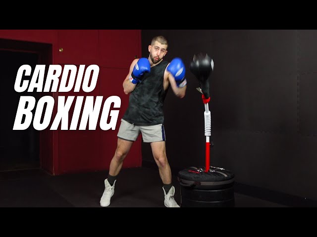 20 min CARDIO BOXING | REFLEX BAG WORKOUT | 4