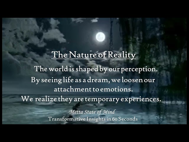 Transformative insights in 60 Seconds   Regard all dharma as dreams   Pema Chodron -528 HZ Frequency