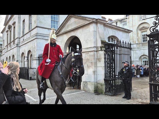 LIVE! The King's Life Guards in 2025