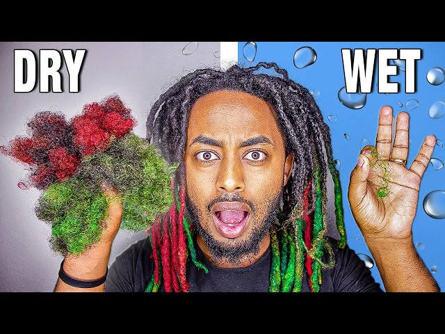 Dry Vs Wet Combing Dreadlocks !!