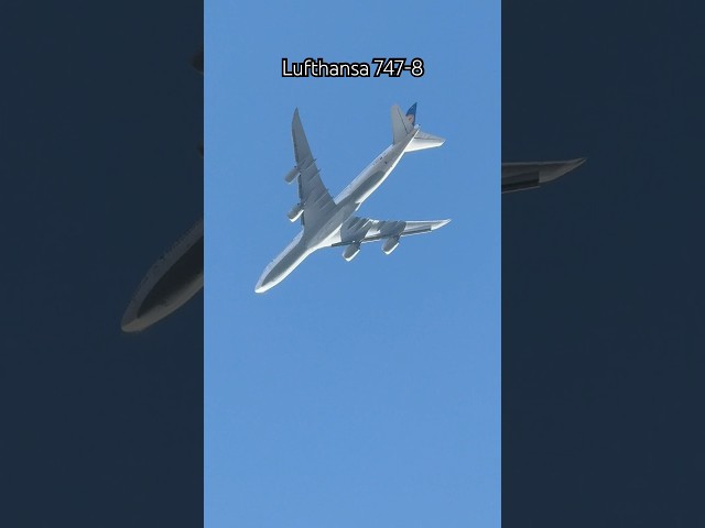 Beautiful Lufthansa Boeing 747-8 approaching Newark Airport EWR #shorts #lufthansa #747