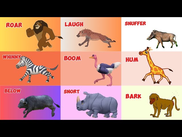 Safari Animal Sounds Song B1222 | Safari Animal Names & Sounds For Toddlers | Nursery Rhymes