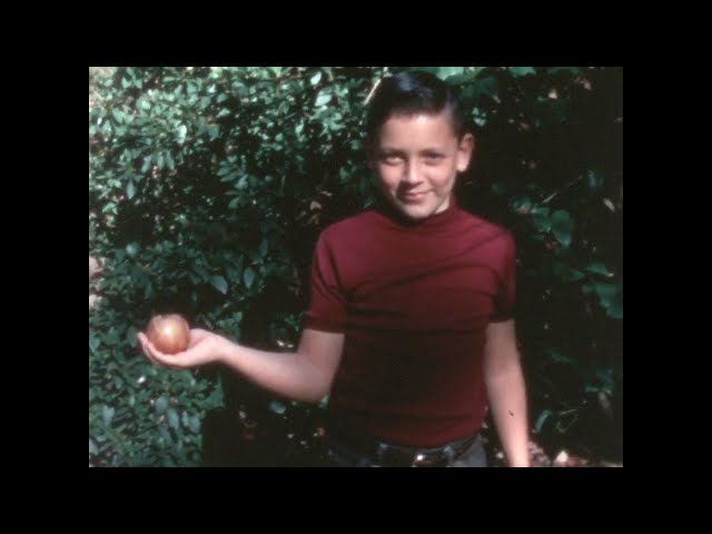 Terry Wilkie's 8mm Home Movies from the 1960's - Reels 9-16