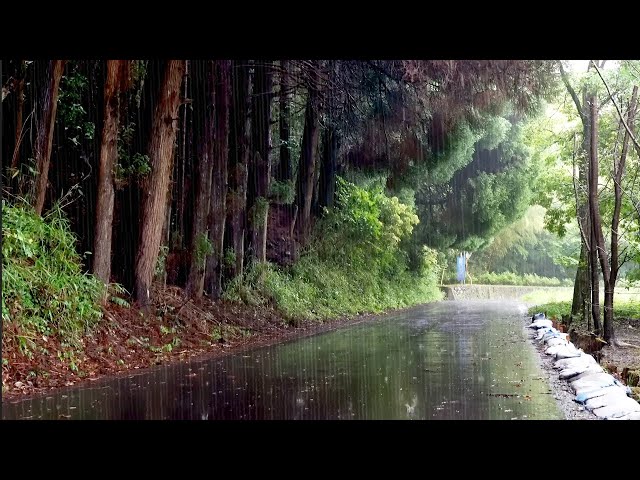 Cool Rain Sounds Heard on a Quiet Country Road - Nature's Sleep Music for Deep Sleep Rain Sounds