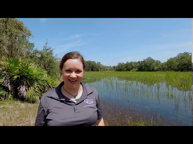 Explorers' Tours: Headwaters Preserve