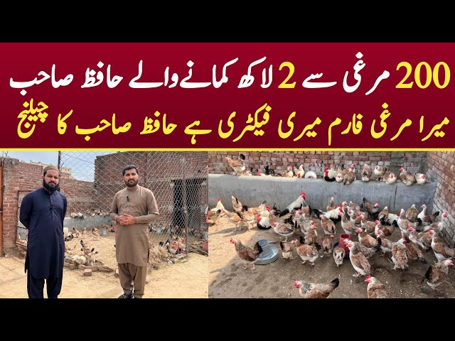 Smart Hen Farming At Home | Mini Hen Farm in Pakistan | Hen Farming Business in Pakistan | Asim Faiz