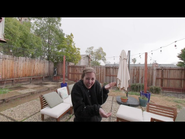 Enjoying some surprise Sacramento Snow 2/2023 VR 180 Oculus Video